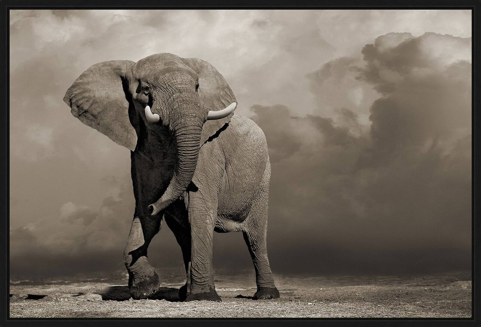 Elephant with Storm Clouds by Horst Klemm - Limited Edition. Edition of: 150. Signed.