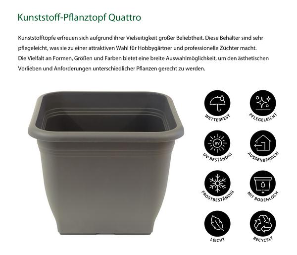 Dehner Kunststoff-Pflanztopf Quattro, eckig