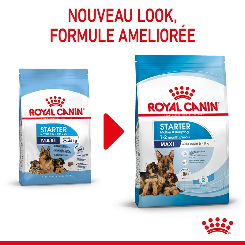 Royal Canin Maxi Starter Mother & Babydog à prix discount sur bitiba.fr