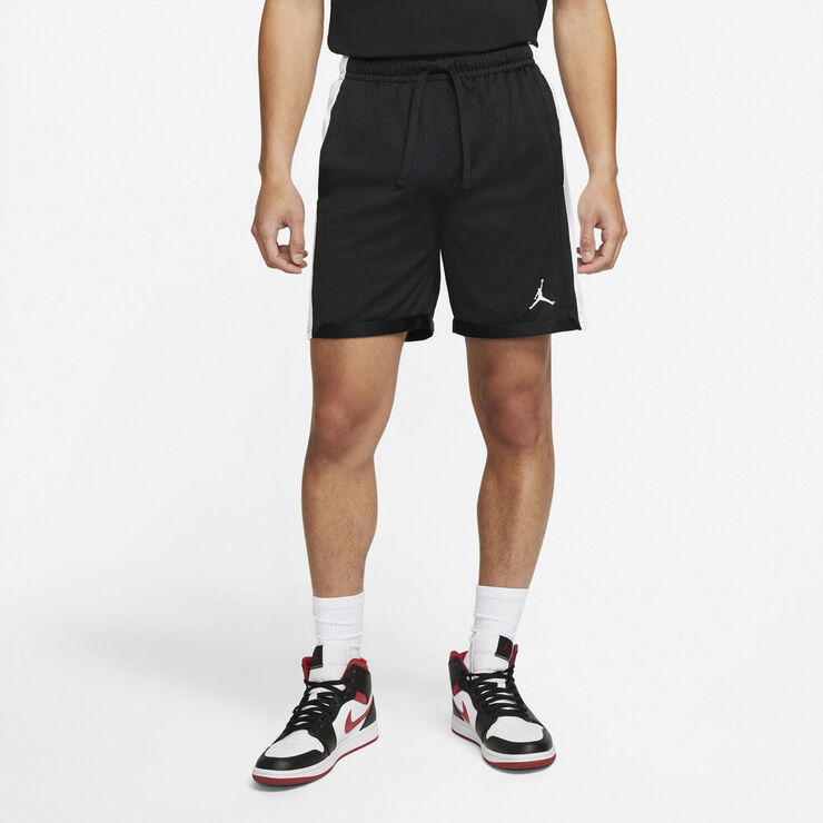 Nike Jordan Sport Dri Fit Mesh Traeningsshorts Sort