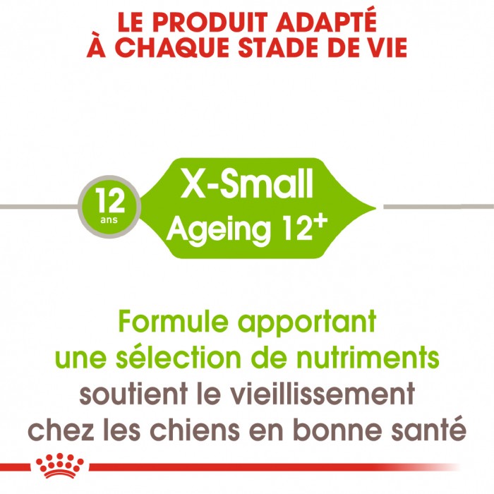 Royal Canin X-Small Ageing 12