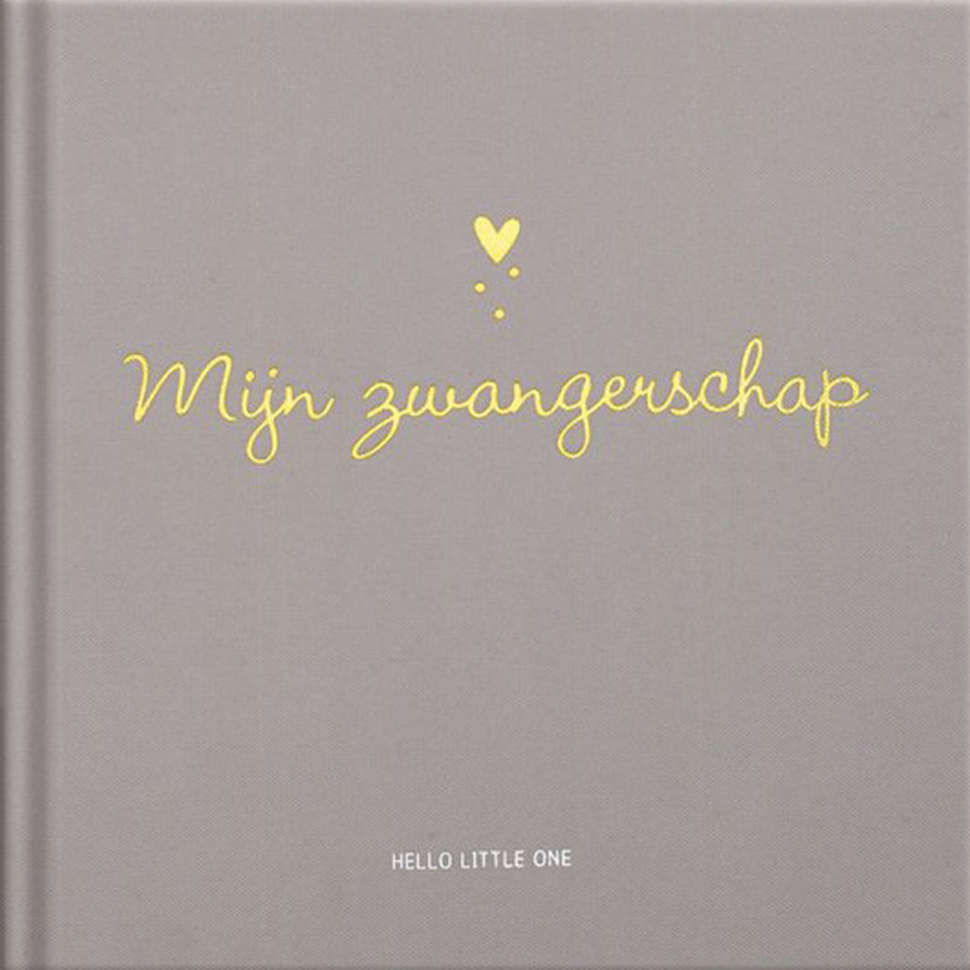 Image books invulboek mijn zwangerschap