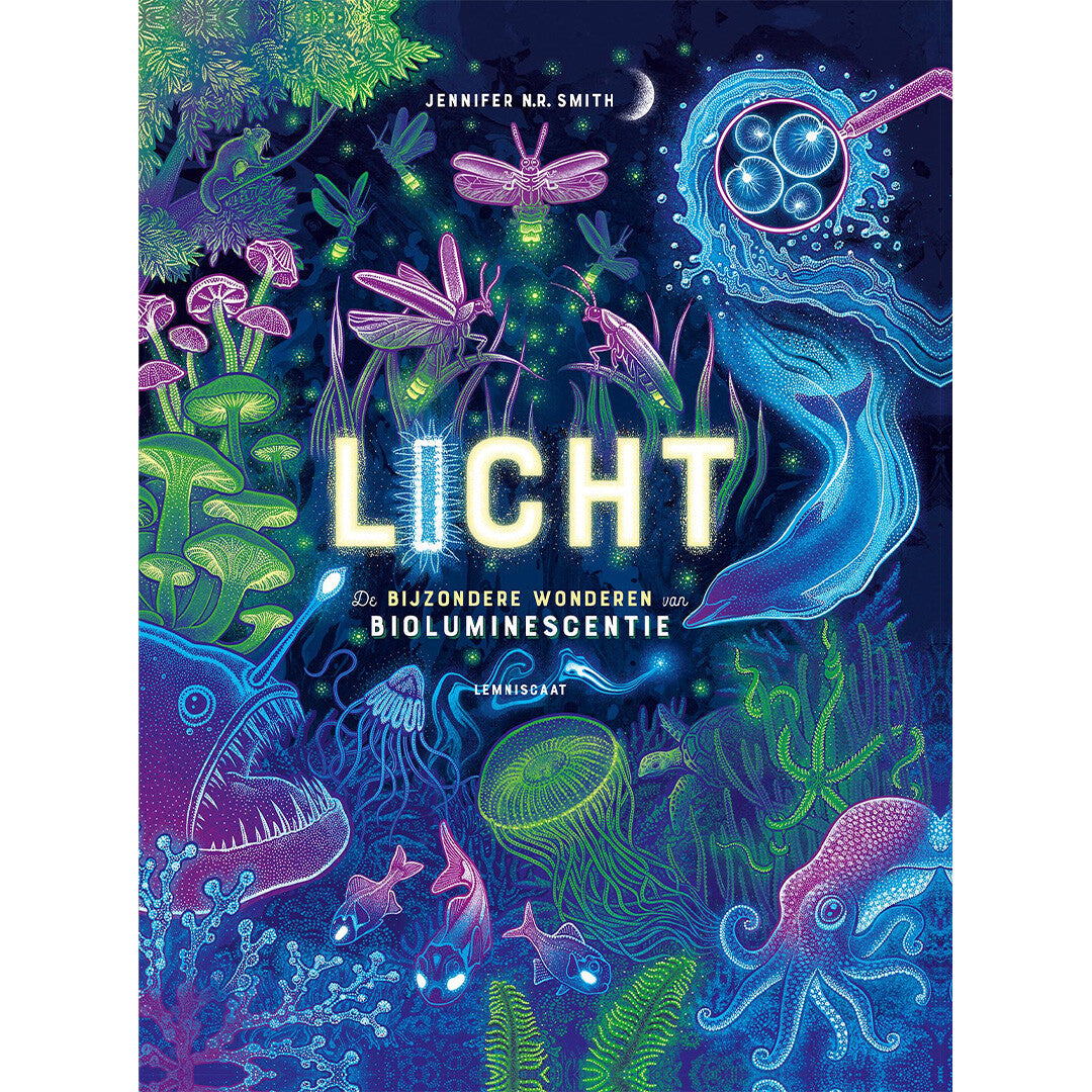 Uitgeverij lemniscaat licht