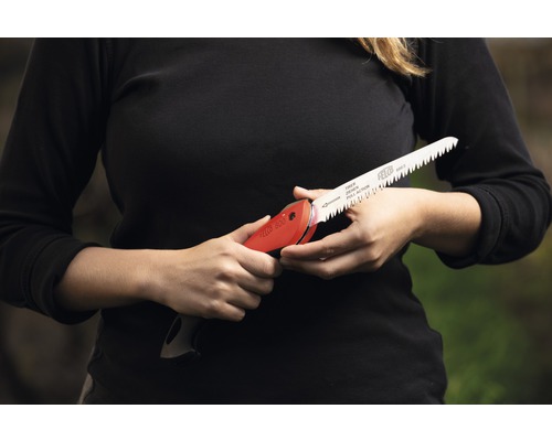 Felco boomzaag met inklapbaar zaagblad