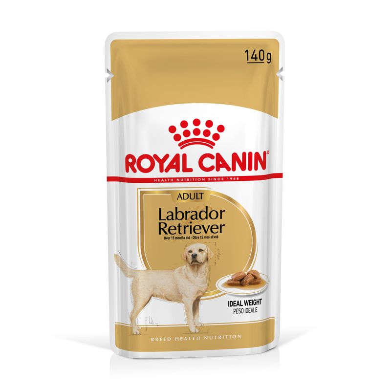 Royal Canin Labrador Retriever Adult en sauce