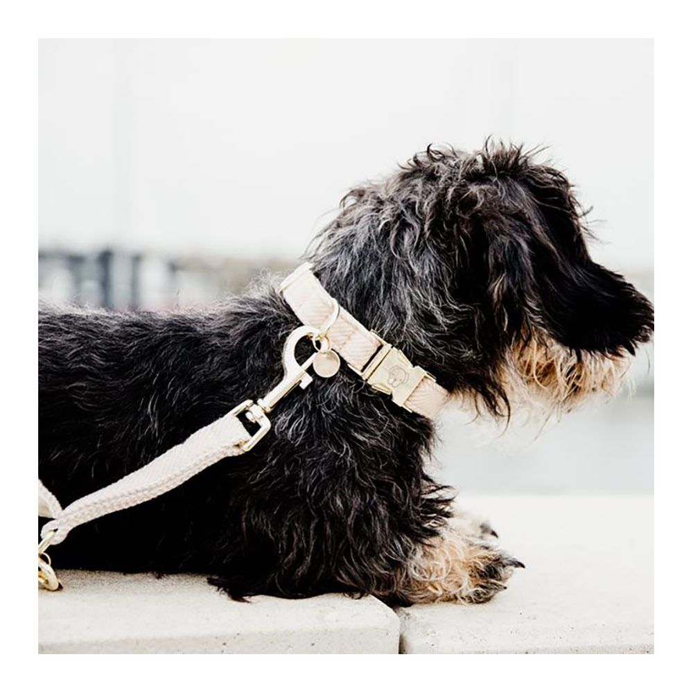 Kentucky LAINE 120CM - Laisse pour chien beige