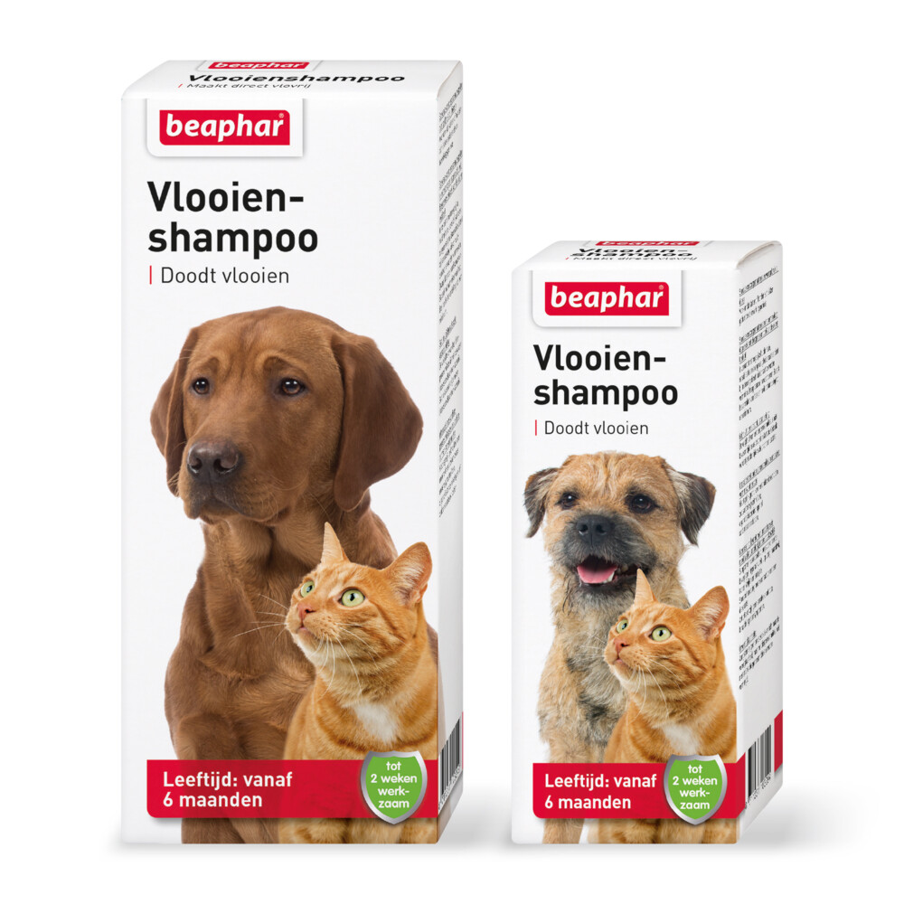 Beaphar Anti Vlooienshampoo Hond - Kat100 ml