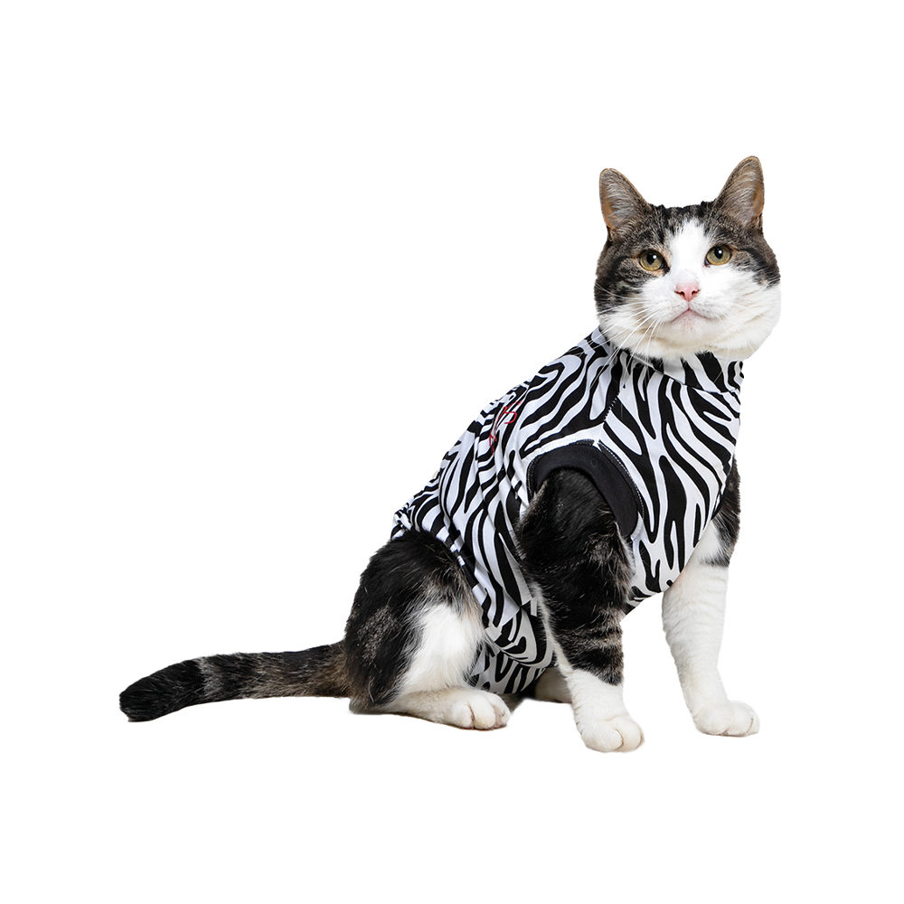 Medical Pet Shirt Kat Zebra