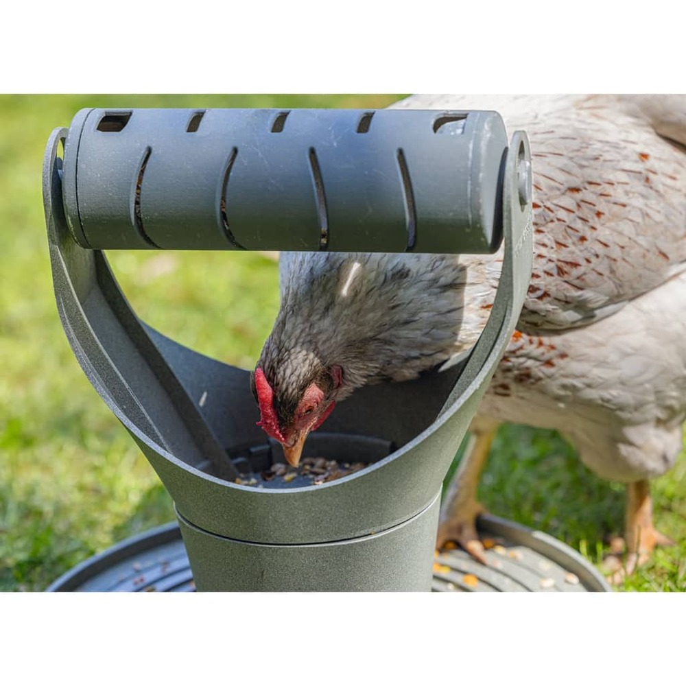 Mangeoire tournante • pour poules • plastique recyclé