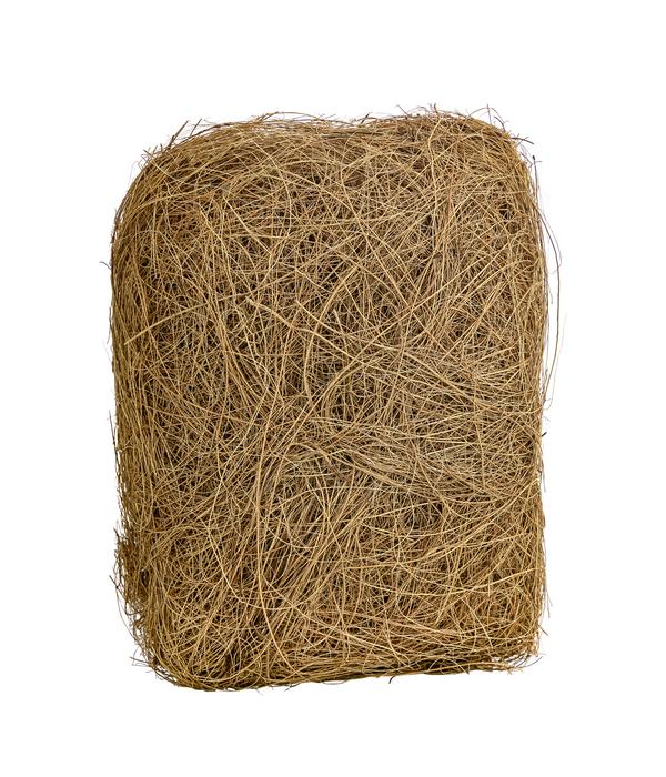 Dehner Lieblinge Kokosfasern, 50 g