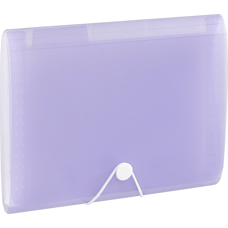 Trieur plastique extensible Propysoft Viquel 6 compartiments - Format A5 paysage