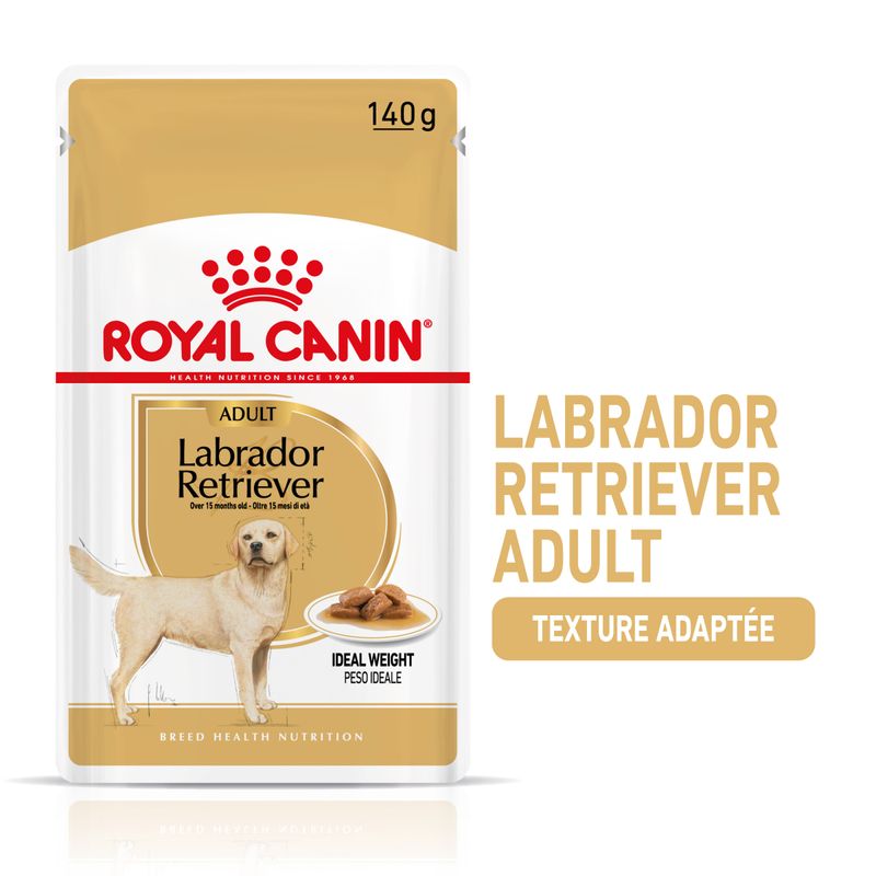 Royal Canin Labrador Retriever Adult en sauce