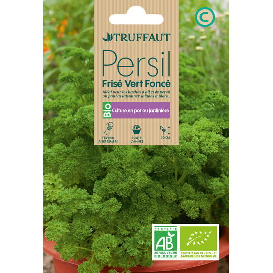 Persil Frisé Vert Foncé 4 g