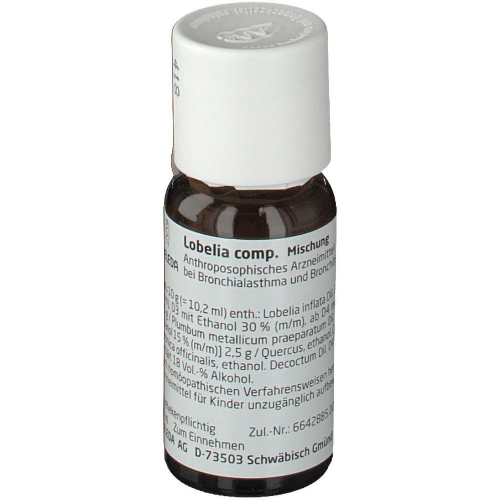 Lobelia comp.