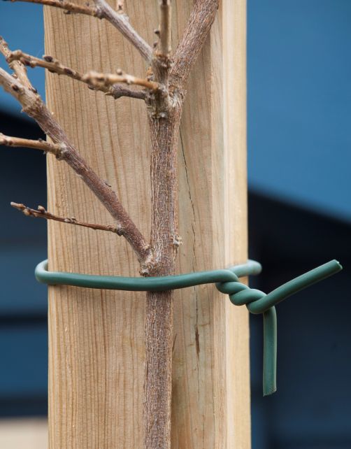 Nature Rubberband - Klim-En Geleide Artikel - 5.5x10x16.5 cm Groen 5 M