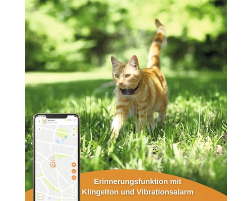 GPS tracker weenect voor katten, 28 g, 6 x 2,4 x 1,5 cm, zwart