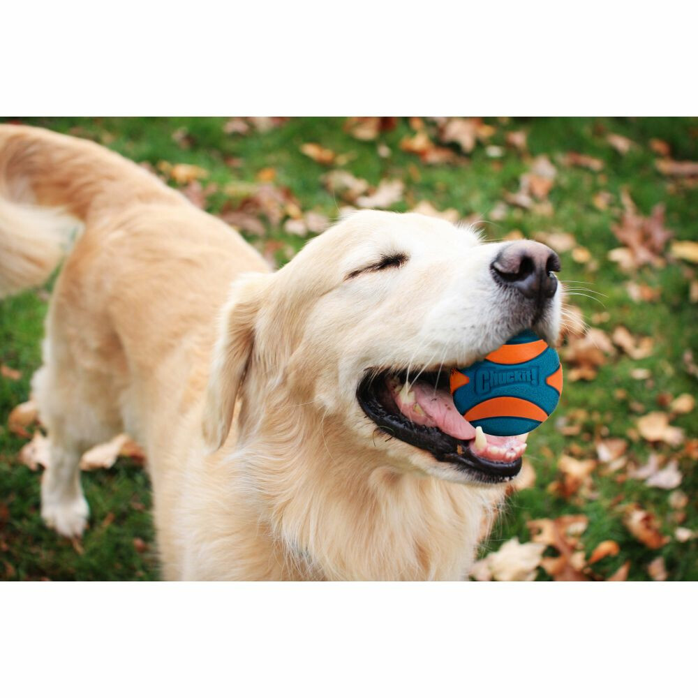 Chuckit Ultra Squeaker Ball Medium ø 6 cm2 stuks
