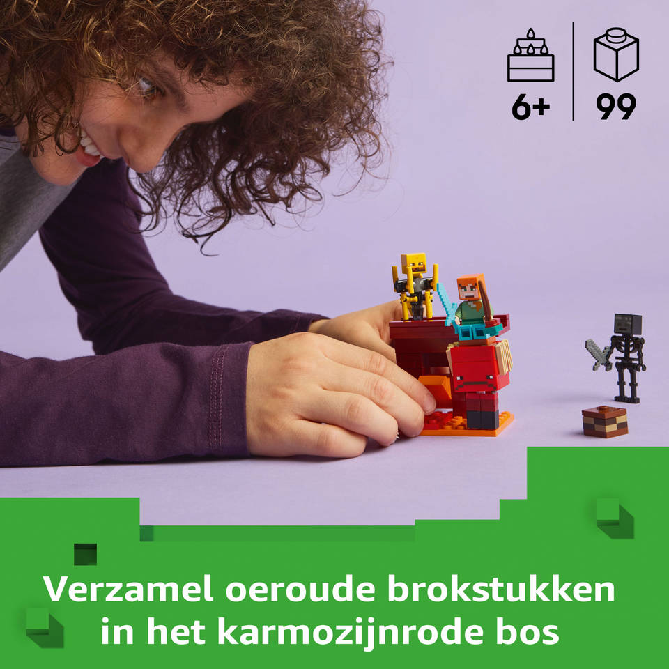 LEGO Minecraft de lavastrijd in de Nether 21266