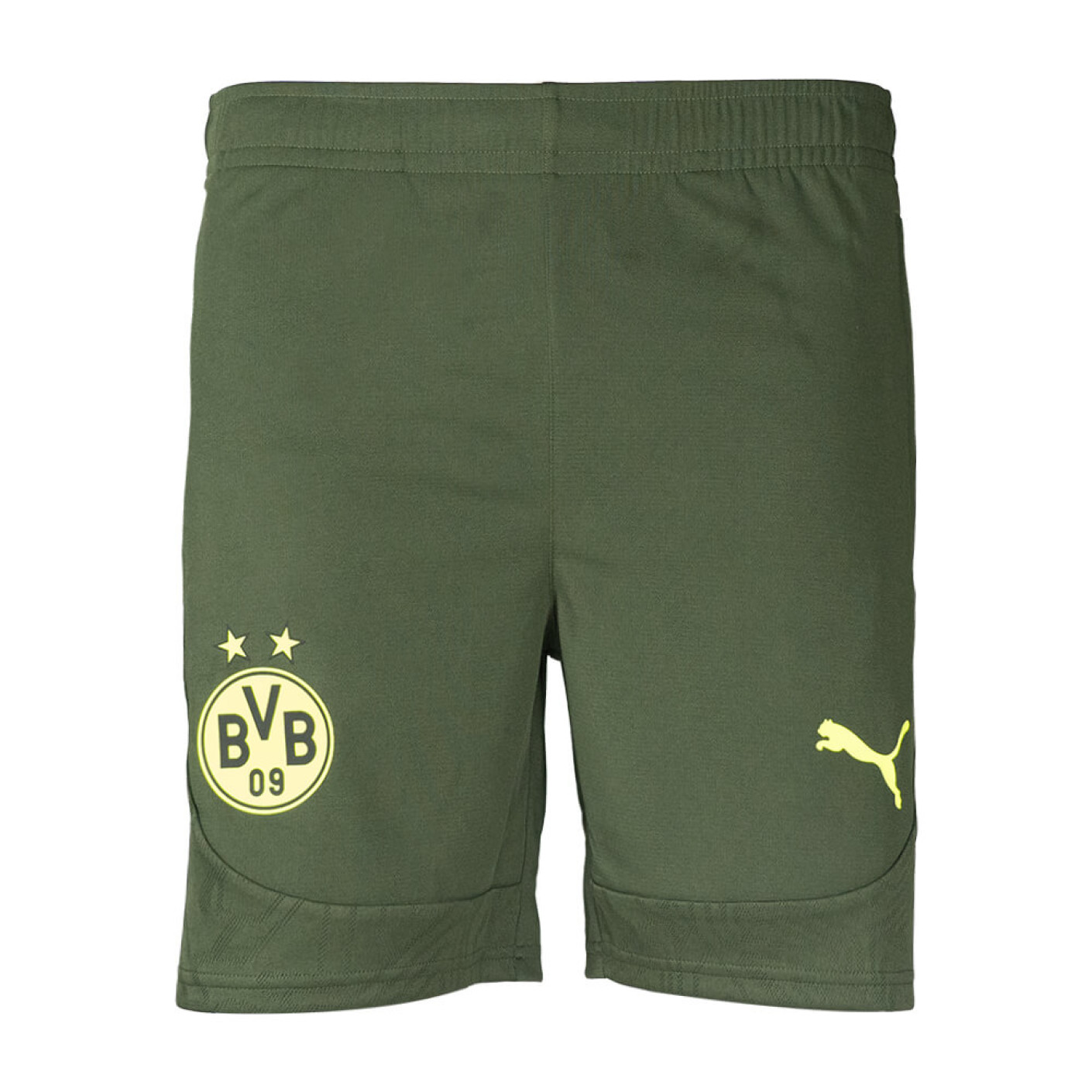PUMA Borussia Dortmund Trainingsset 2024-2025 Groen Geel