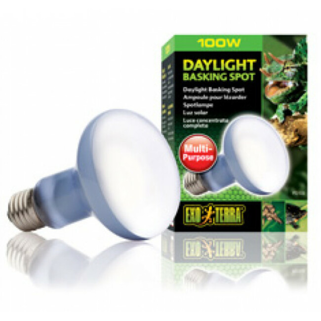 Ampoule Basking Spot Daylight lumière du jour Exo Terra
