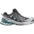 Xa Pro 3D V9 GTX Trailrunningschoen