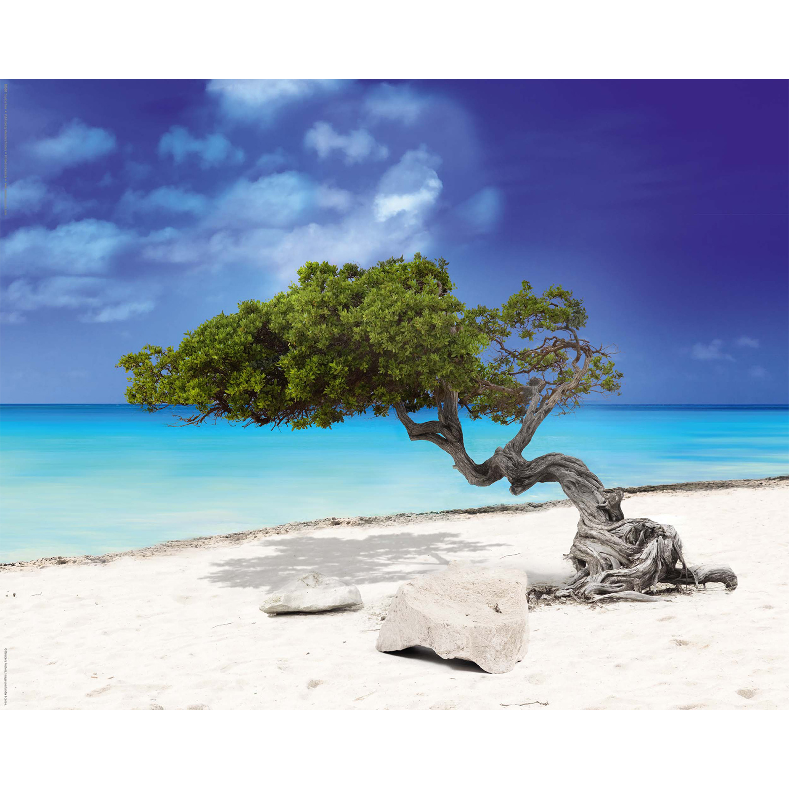 Deco Panel BAUM - 40x50 cm