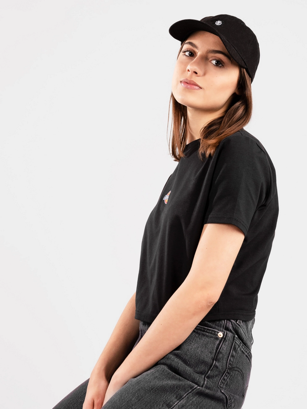 Dickies Maple Valley T-Shirt black