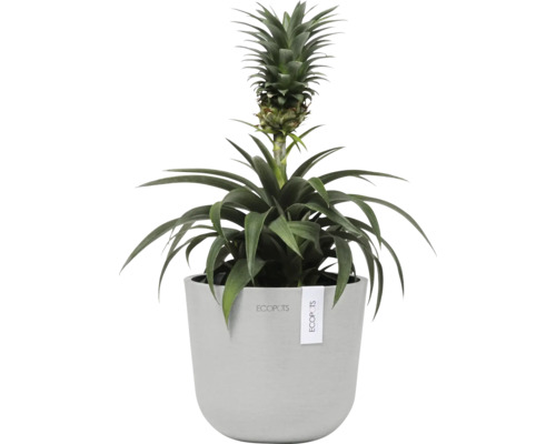 Ecopots Oslo kunststof bloempot, Ø 14,5 cm, 16 x 16 x 13,7 cm, grijswit