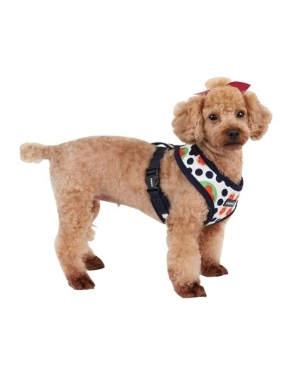 Blossom Multicolor Dog Harness