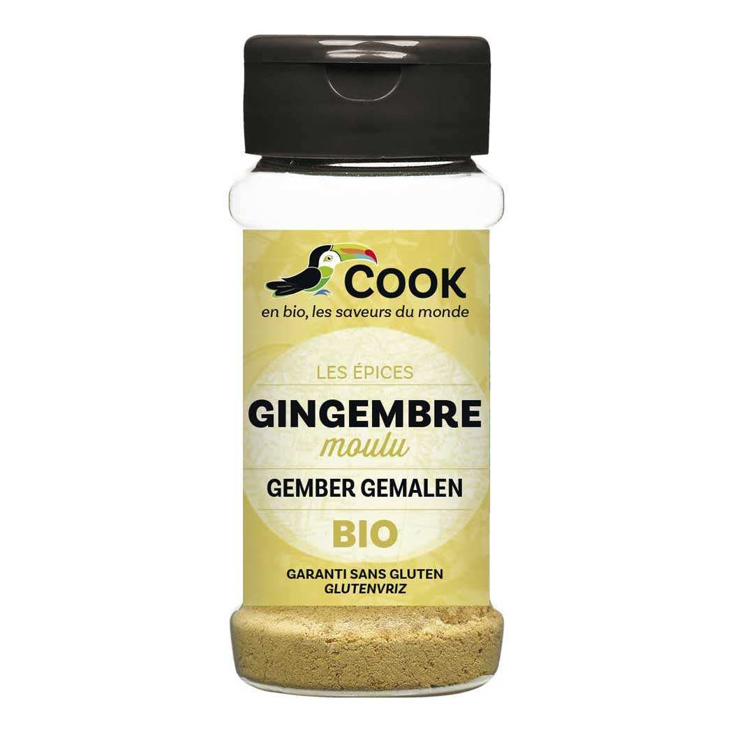Gingembre poudre bio