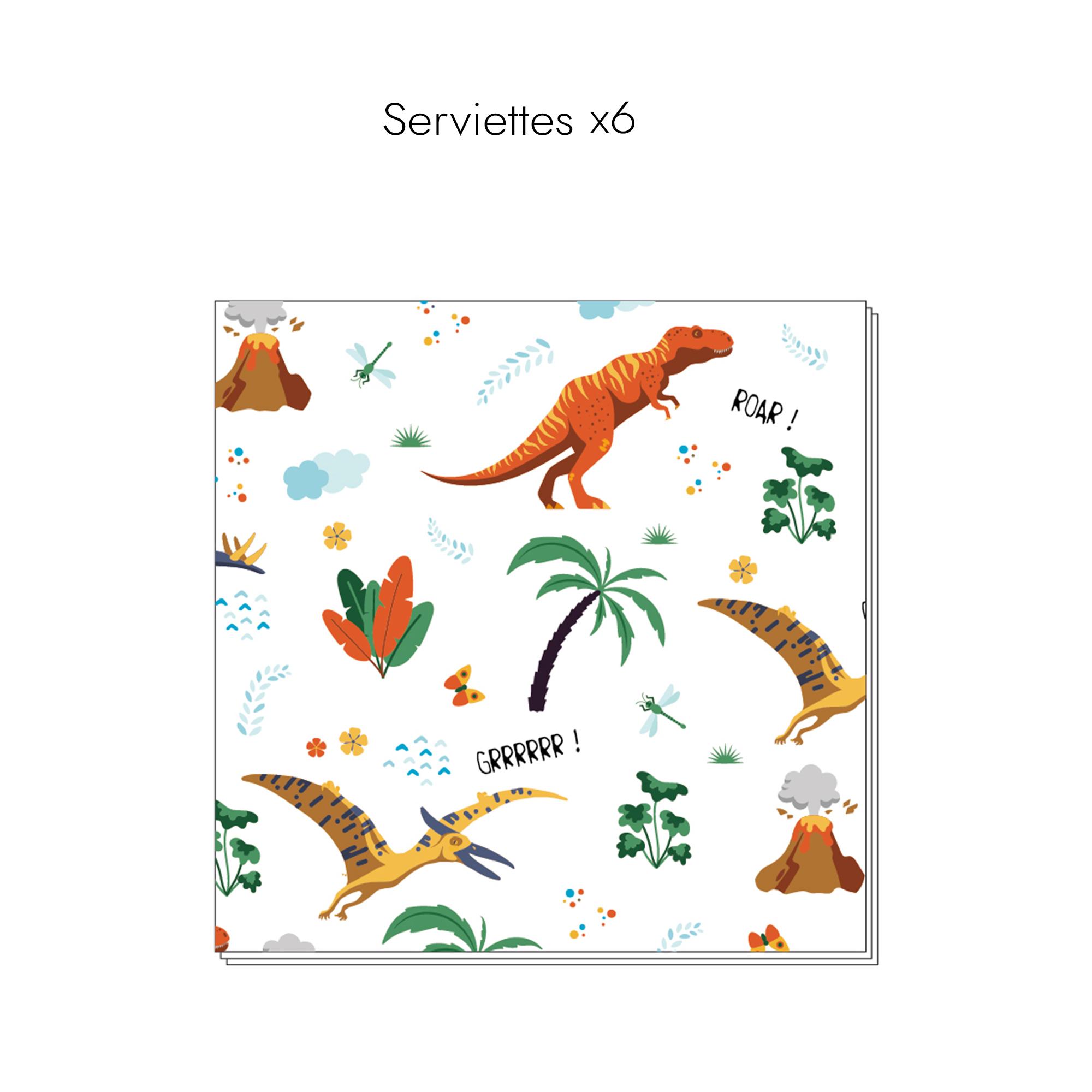 BOITE ANNIVERSAIRE DINOSAURE 53 PIECES