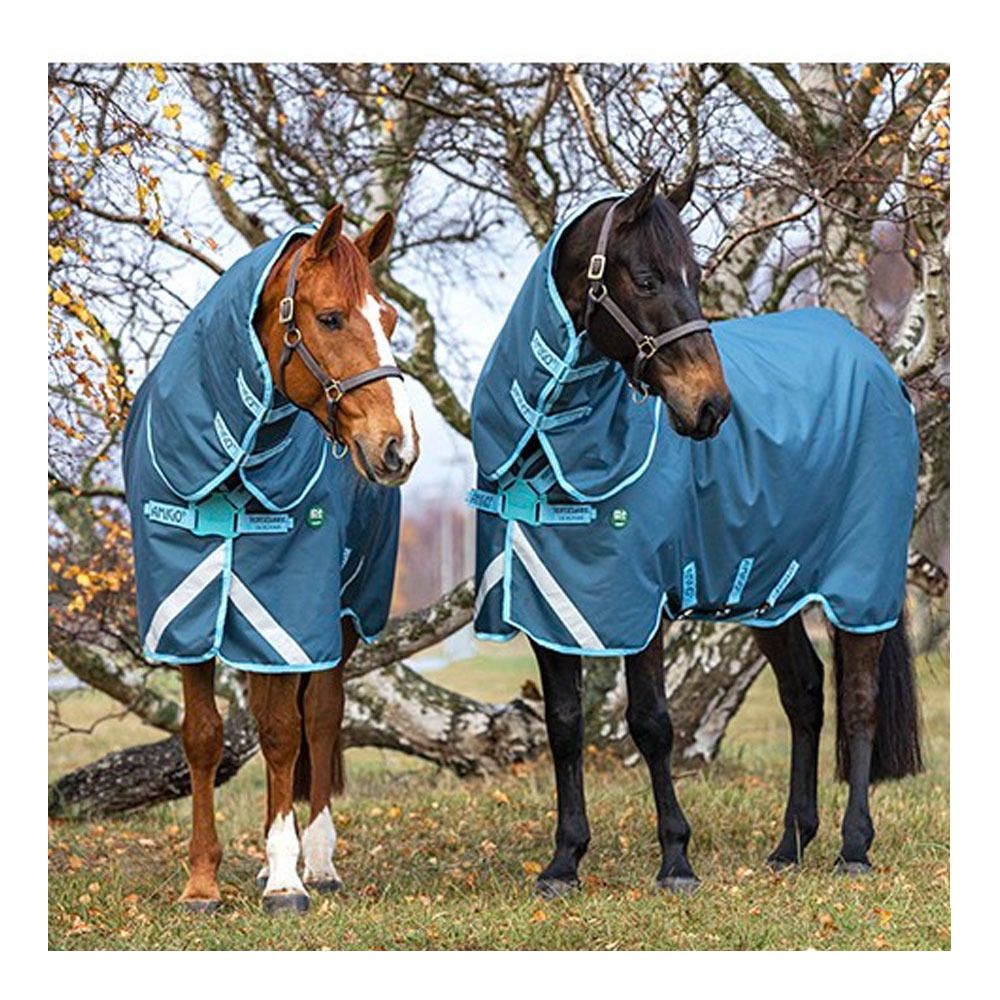 Horseware AMIGO AMECO 12 PLUS 0G - Couverture de paddock + couvre-cou teal/grey