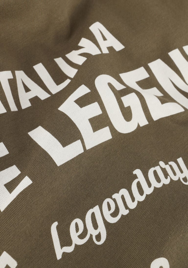 PME LEGEND groene pme legend t-shirt short sleeve r-neck play single jersey