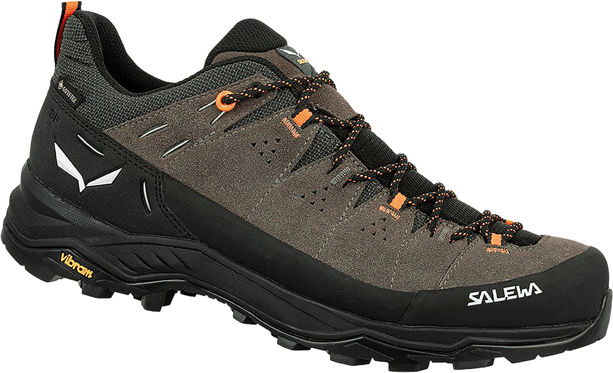Alp Trainer 2 GTX