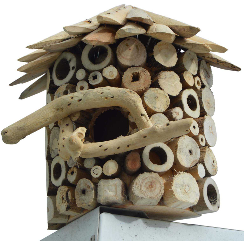Nichoir demi-rond en bois d'albésia à accorcher