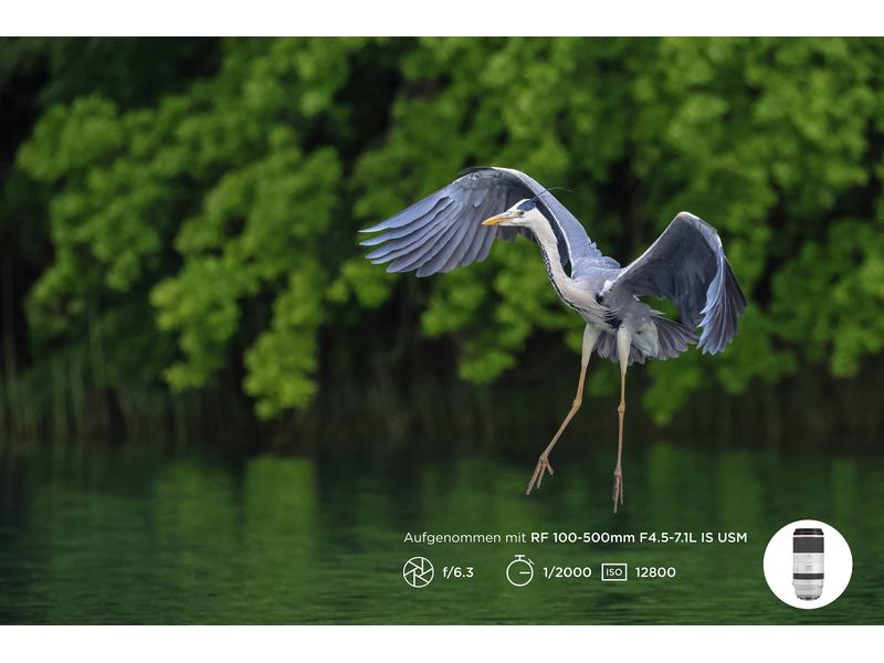 Canon Zoomobjektiv RF 100-500mm F/4.5-7.1L IS USM Canon RF Kompaktes und leichtes Supertele-Objektiv für Sport- und Wildlife-Aufnahmen