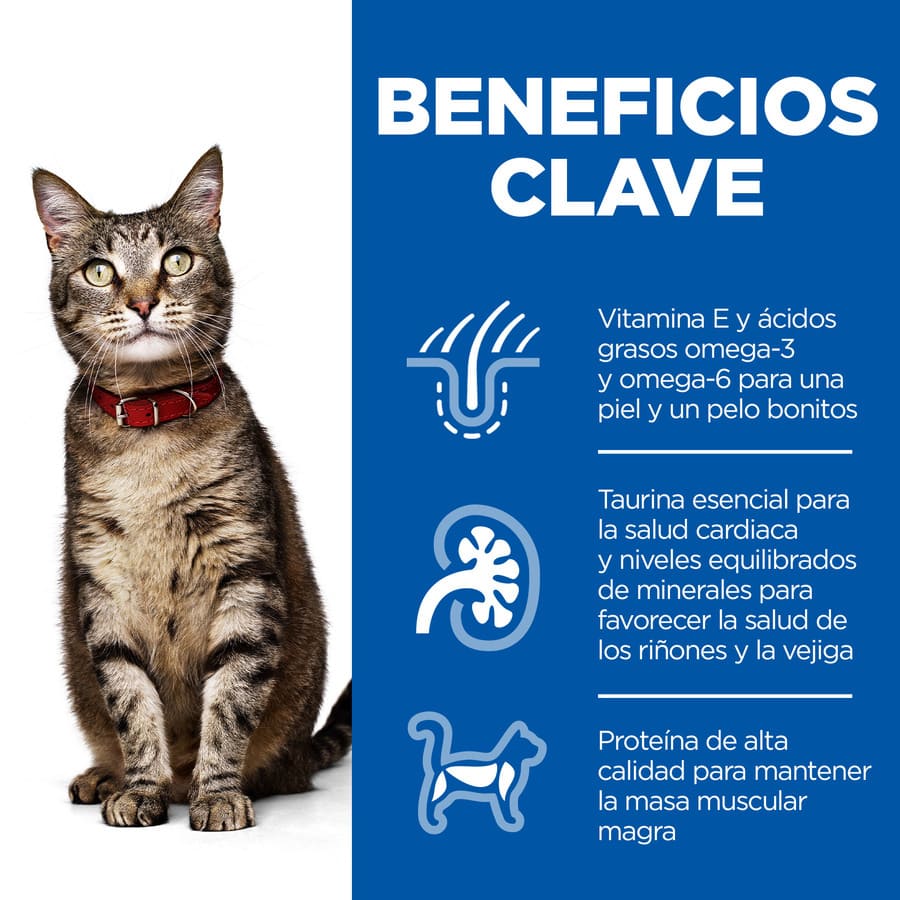 Ração para gatos adultos Hill's Science Plan com atum