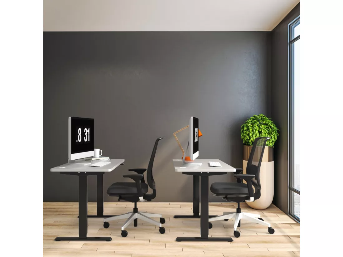 Bureau Assis-Debout Électrique à 2 Moteurs, Cadre de Bureau avec Largeur et Hauteur Réglables, Panneau de Contrôle à 4 Boutons de Mémoires, Dispositif Anti-Collision (Noir)
