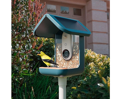 Birdbuddy Smart bird feeder w/ solar roof - Blue