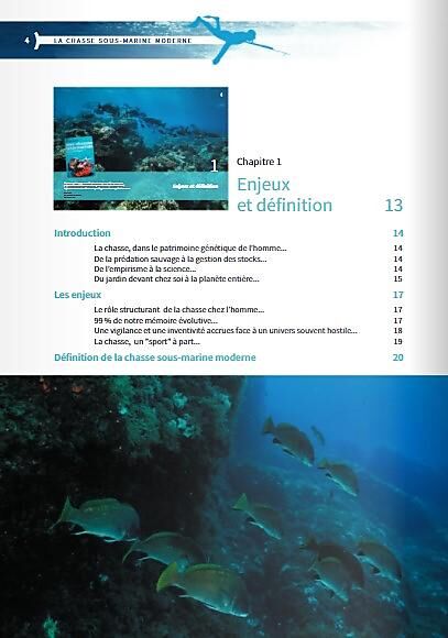 AMPHORA - CHASSE SOUS MARINE MODERNE