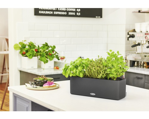 Lechuza Cube Color bloembak 40x14x13,5 cm grijs incl. grondbewateringssysteem