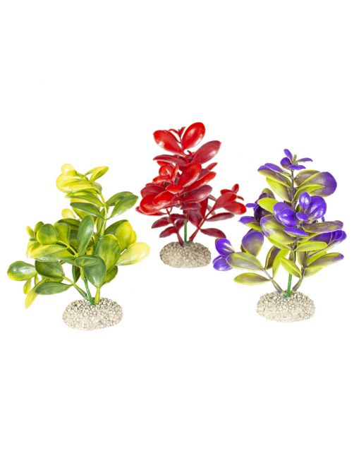 Aqua Della Decor Plant Crassula - Aquarium - Kunstplant - 16 cm Assorti