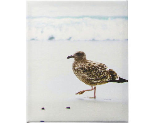 Canvas print zeezicht, set van 5, 60x80 cm