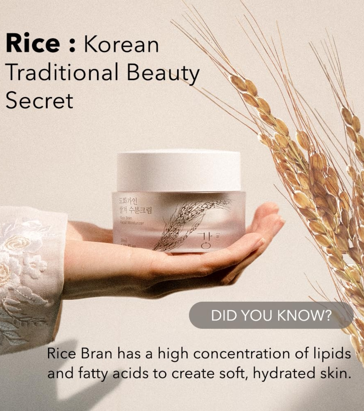 House of Dohwa - Creme Hidratante Rice Bran