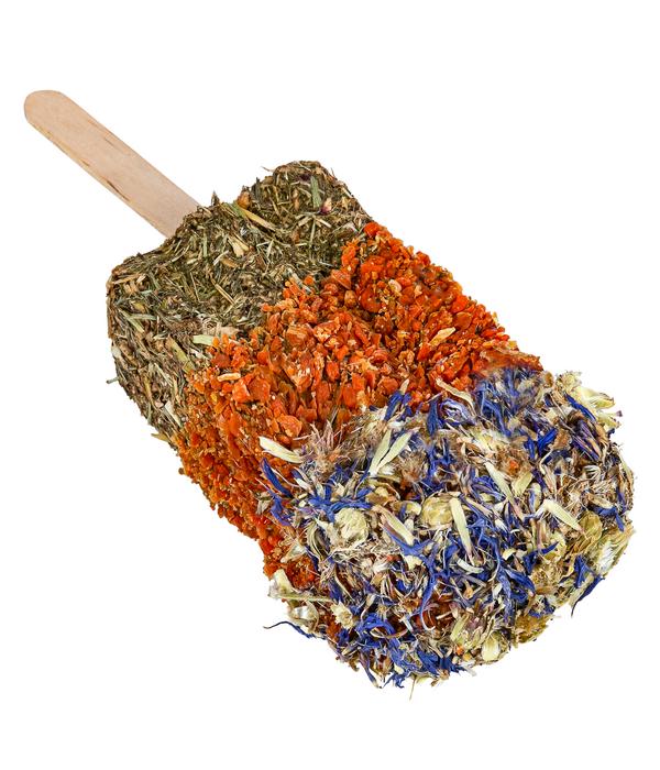 Dehner Lieblinge Knabber-Lolli, 45 g