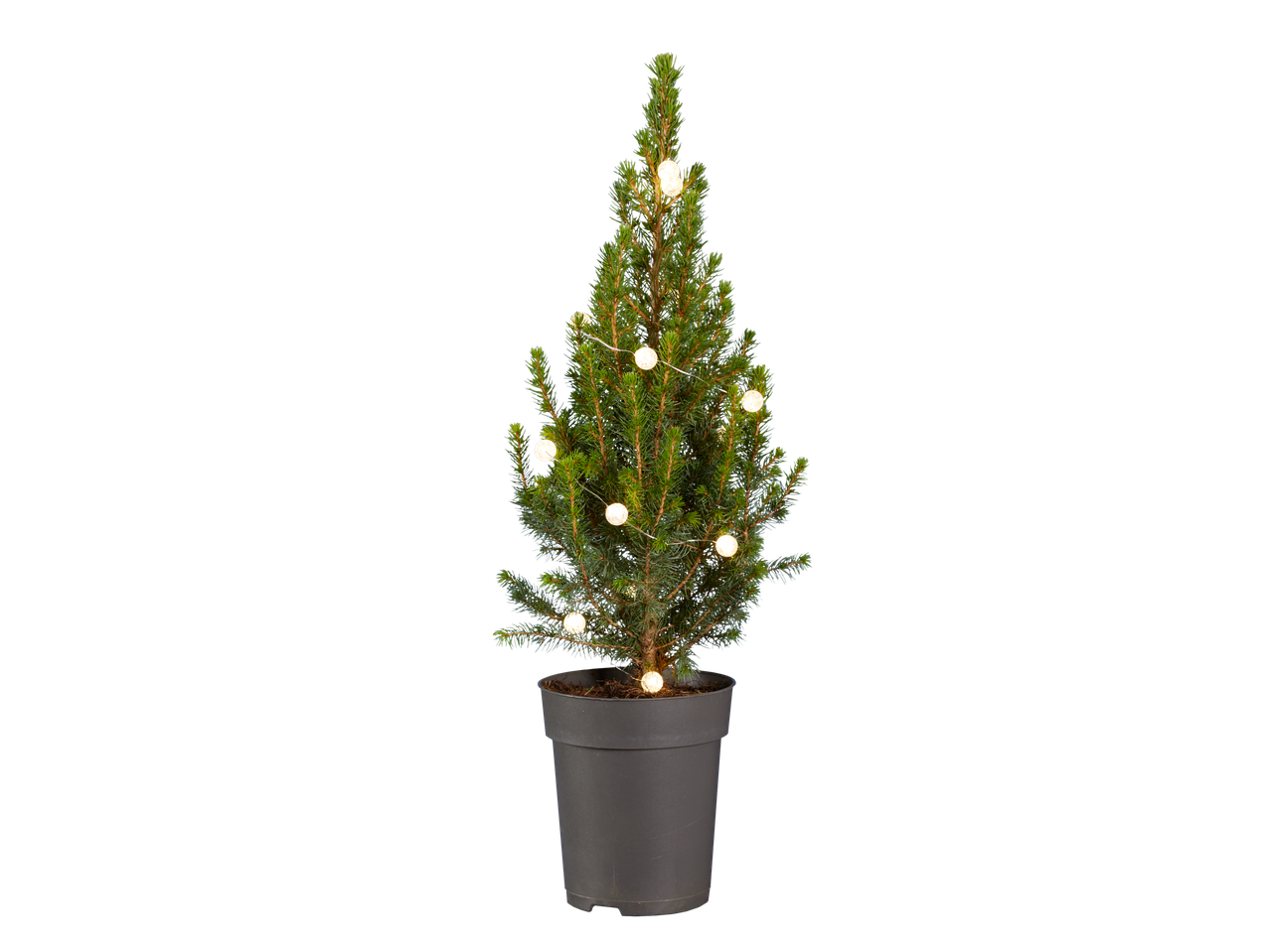 Mini kerstboom met verlichting