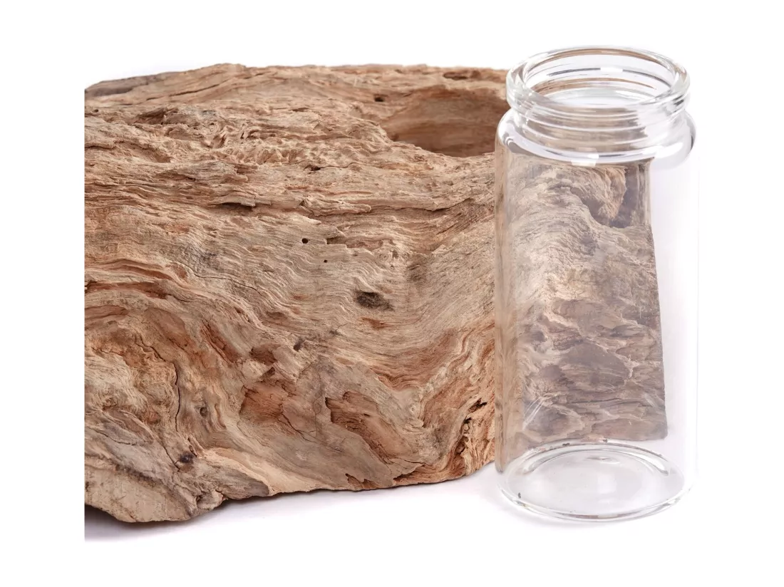 VASE Yuma II 19x12 cm, bois de racine, avec 2 tubes à essai couleurs naturelles