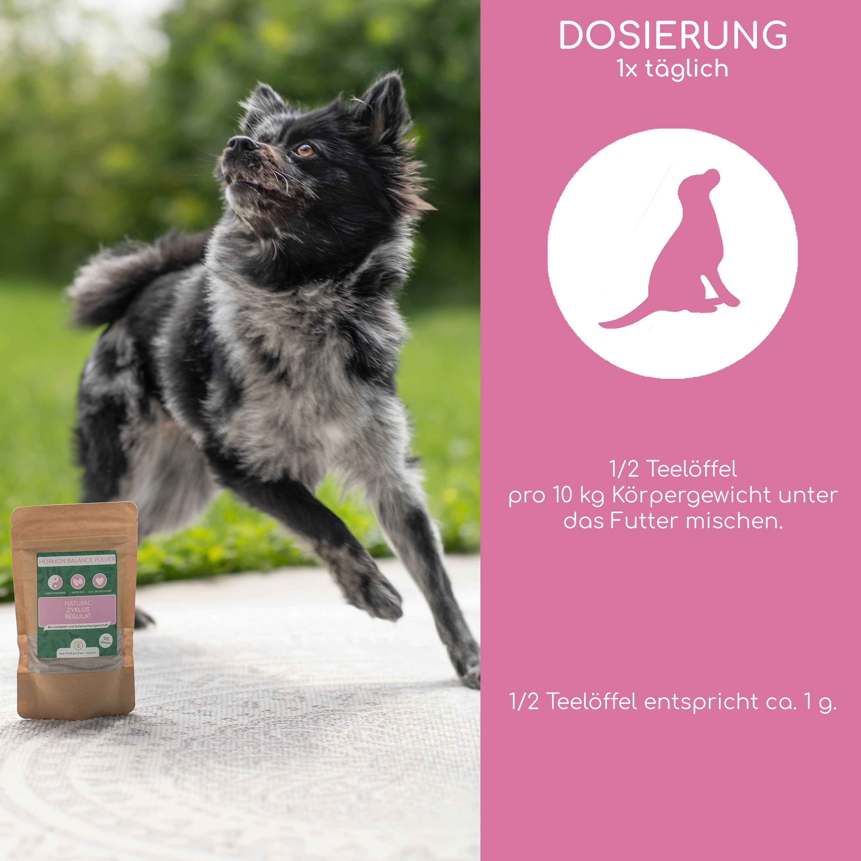 Wolfsbacher Natur Zyklusregulat Pulver