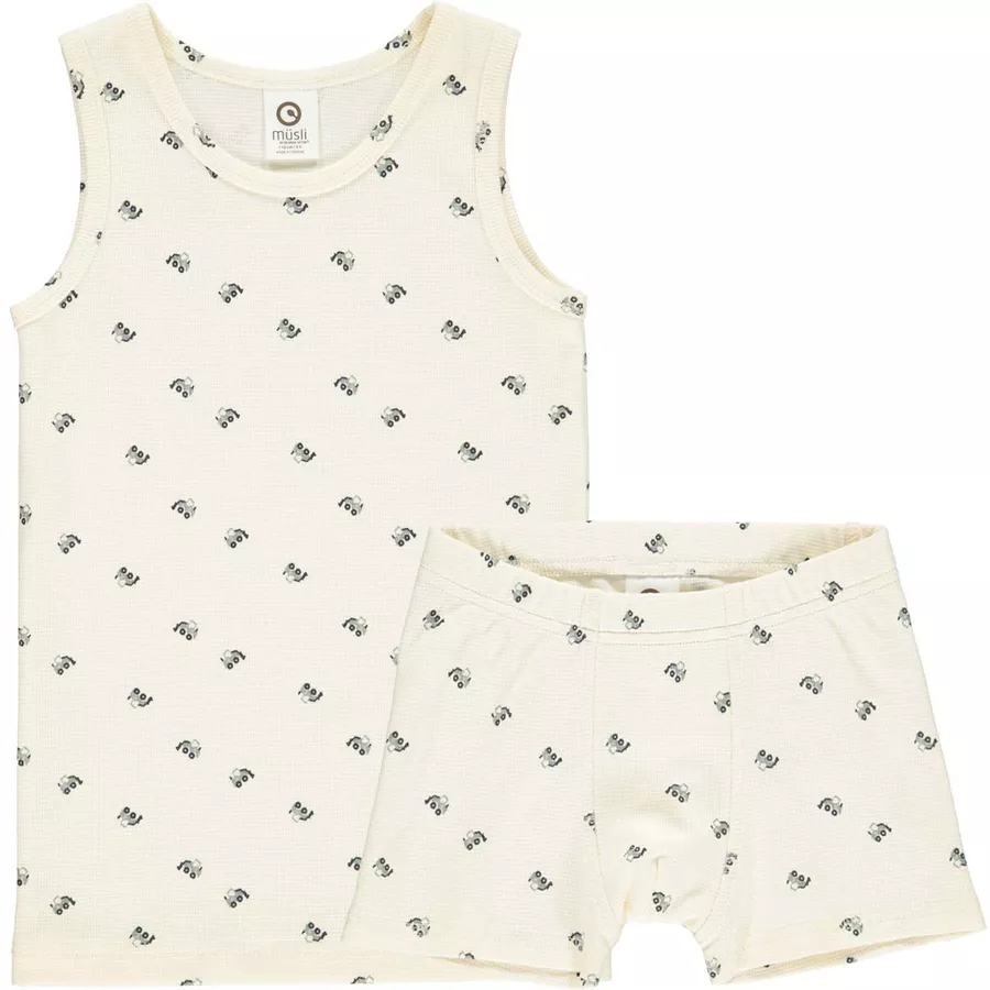 Müsli Unterwäscheset Boxer Buttercreambluegreen