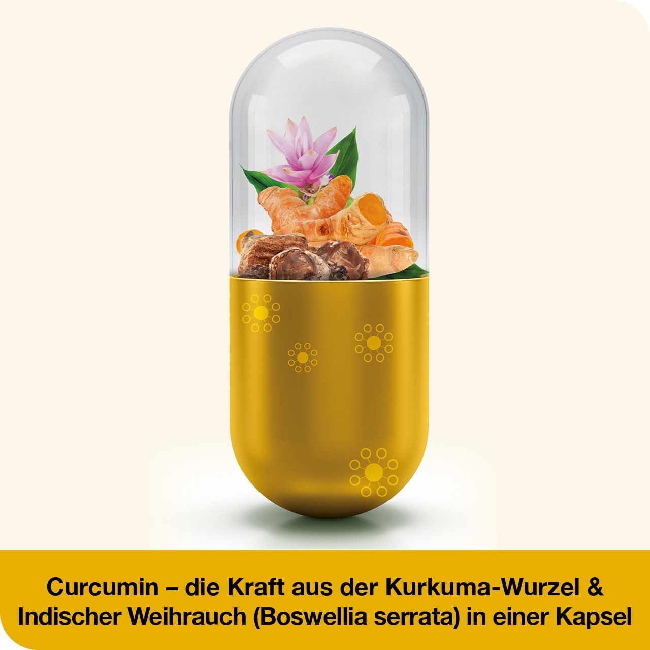 curcumin-Loges® plus Boswellia